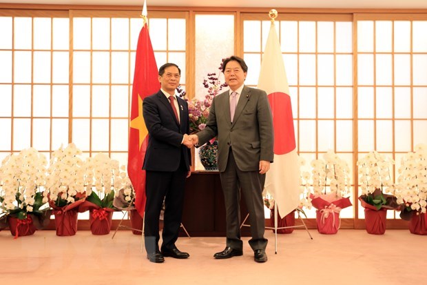 Vietnam always considers Japan leading strategic partner FM